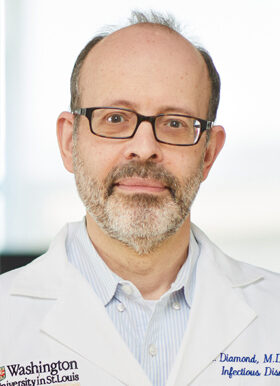 Michael S Diamond, MD, PhD